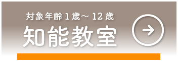 対象年齢１歳～12歳　知能教室